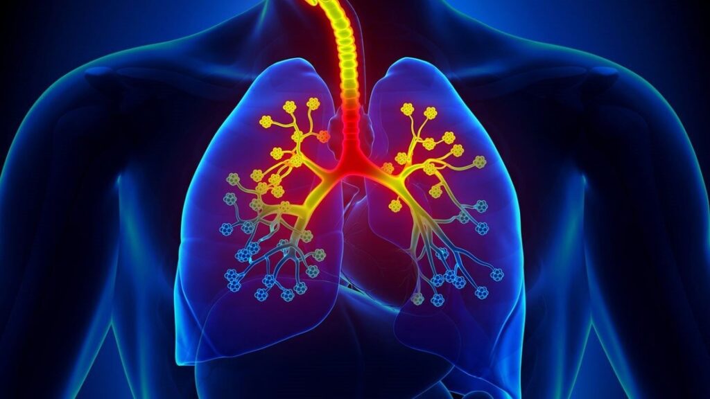 lungs and asthma