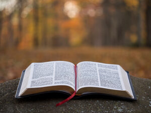 DEVOTION, BIBLE., GOD'S WORDS, SAY, WHAT DID GOD SAY ?