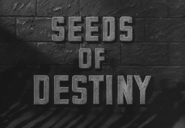 SEEDS, SEEDS OF DESTINY