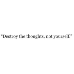 DESTROY THE THOUGHTS