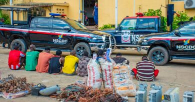 NSCDC Arrests Nine for Vandalism in FCT Abuja