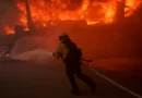 California Wildfires: Over 137,000 Residents Forced to Flee