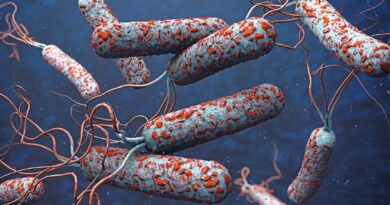 Cholera Outbreak in Delta State: 3 Dead, Many Hospitalised