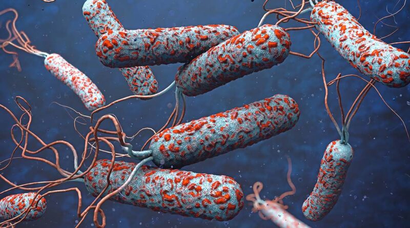 Cholera Outbreak in Delta State: 3 Dead, Many Hospitalised