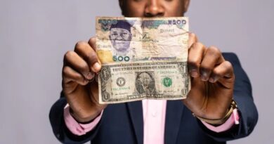 Naira Depreciates to N1,495.60 Against Dollar