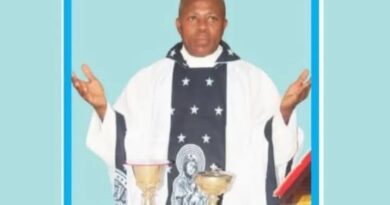 Rev. Fr John Ubaechu, Kidnapped By Gunmen In Imo State